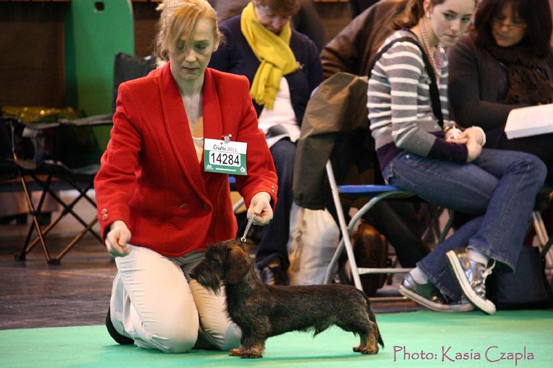 Crufts2011_2 457.jpg